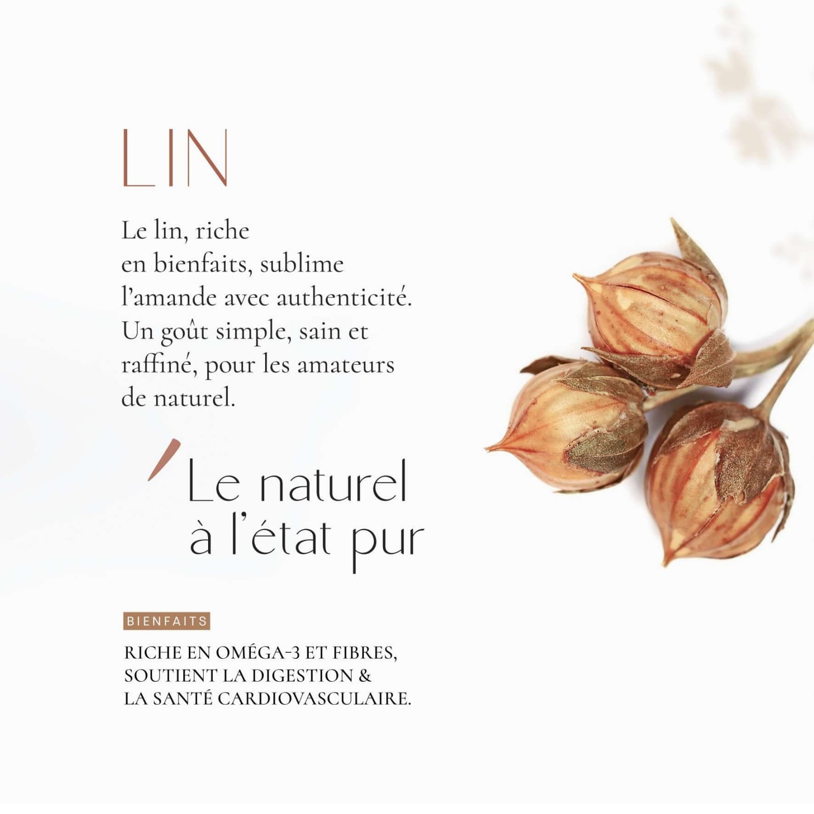 Amandes Lin - detail